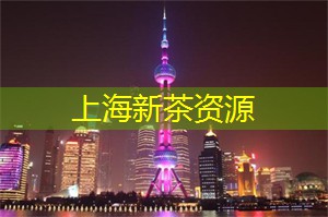 光影盛宴：遇见夜上海那些动人的艺术之美